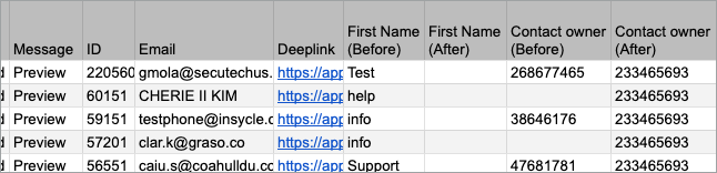 Preview CSV report