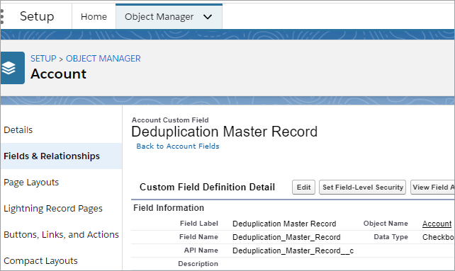 Salesforce Object Manager