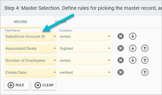 Set Salesforce Account ID master selection rule