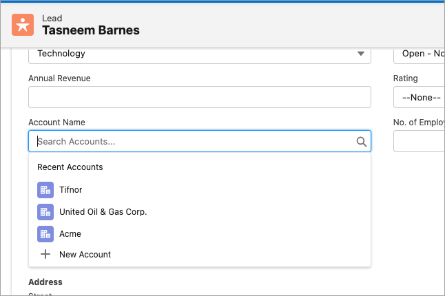 View of Account Name field on a Lead record