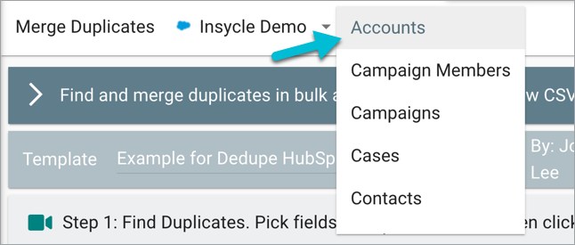 merge-duplicates-salesforce-select-record-type-accounts.png