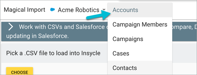 magic-import-salesforce-select-record-type-accounts.png