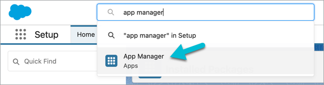 salesforce-search-app-manager.png