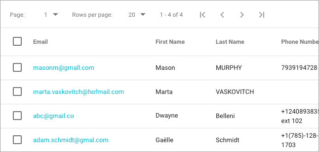 grid-edit-contacts-email-typos-record-viewer.png