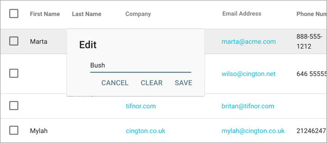data-validation-mailchimp-pipedrive-record-viewer-edit-popup.png
