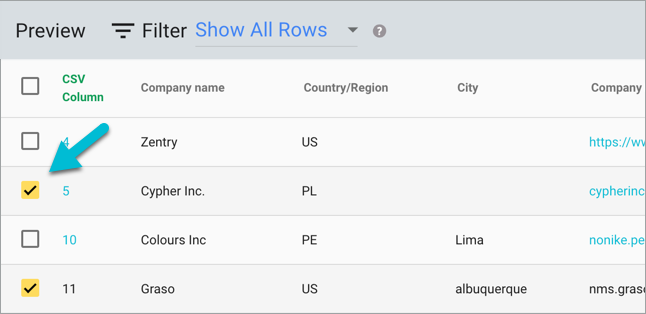 magical-import-hubspot-companies-preview-select-rows.png