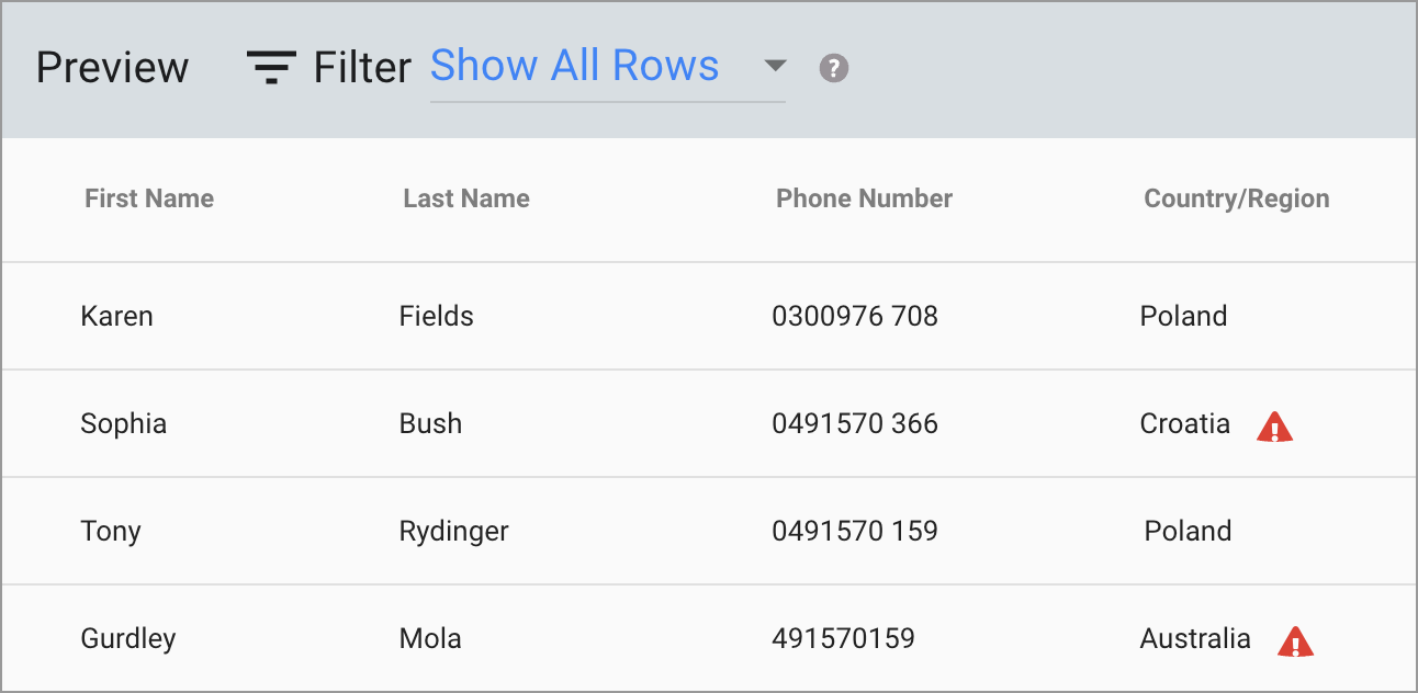 magical-import-contacts-preview-poland-validation-applied-646w.png