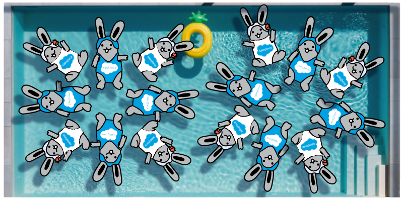 header-synchronized-swimming-salesforce-only.png