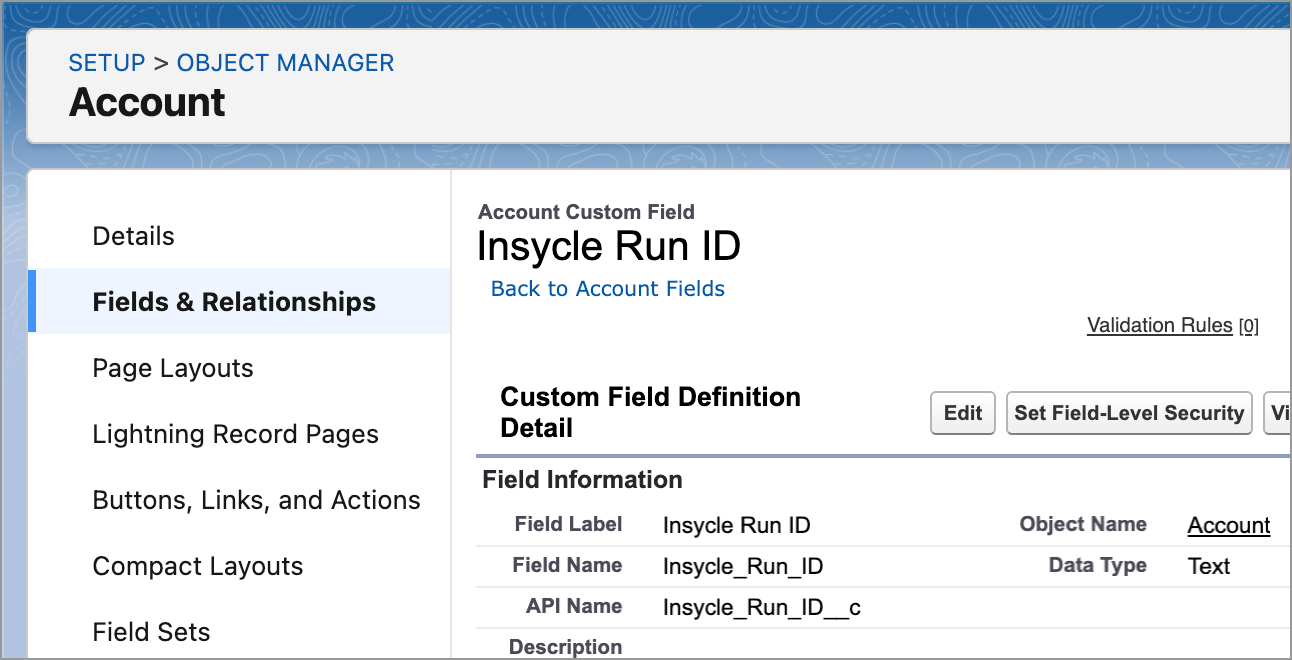 salesforce-add-custom-field-insycle-run-ID-646w.png