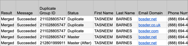 merge-duplicates-contacts-manual-mode-tasneem-csv.png