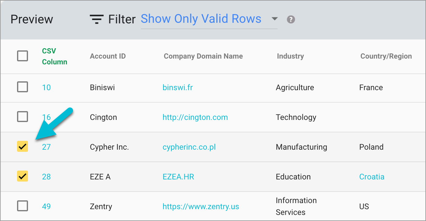 magical-import-salesforce-accounts-preview-checkboxes-700w.png