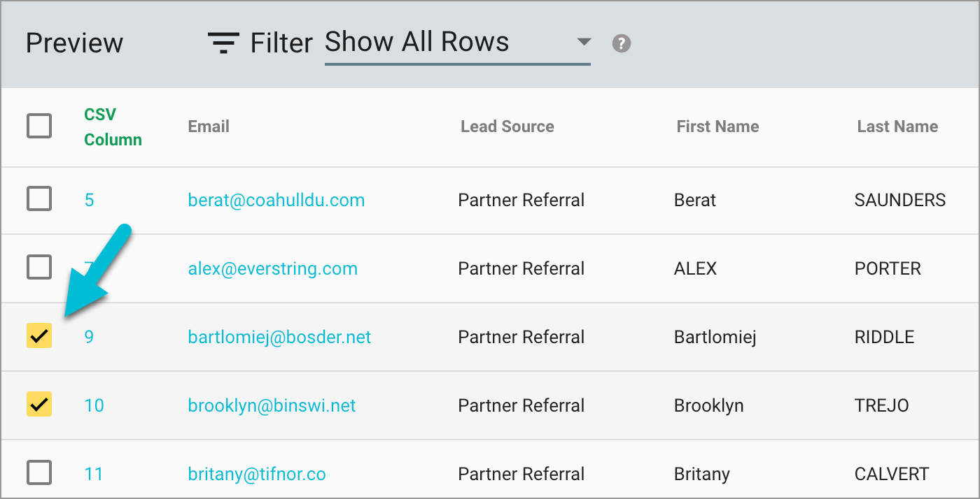 magical-import-salesforce-leads-preview-checkboxes-700w.png
