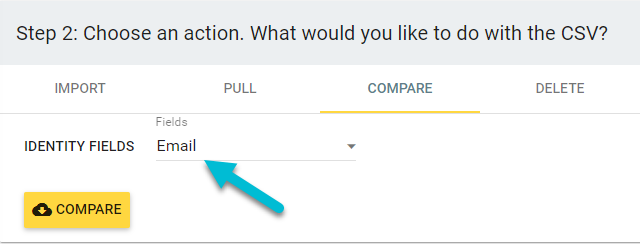 email identity field