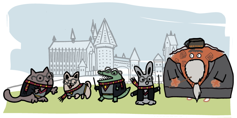 How to Become a Customer Data Wizard Using the Transform Data Tool